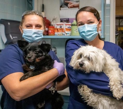 Murray Hill Pet Hospital - New York, NY