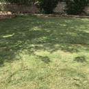 Mr Bs Sod Install - Landscaping & Lawn Services
