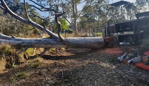GTS Trees - Boonah, QLD