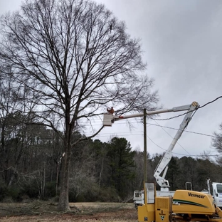 Tree Pros LLC - Remlap, AL