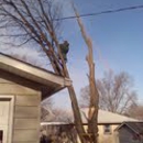 Overland Park Tree Care - Arborists