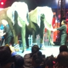 Universoul Circus gallery