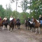 Trail Creek Stables