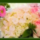 Englewood Florist & Flower Delivery