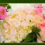 Englewood Florist & Flower Delivery