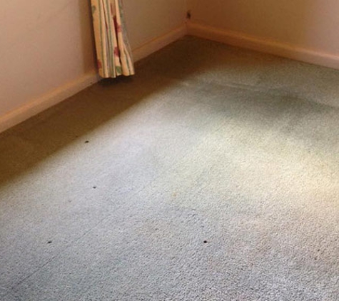 Cherry Blossom Cleaning Services - Young, NSW