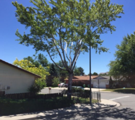 Expert Tree and Yard Services - Reno, NV