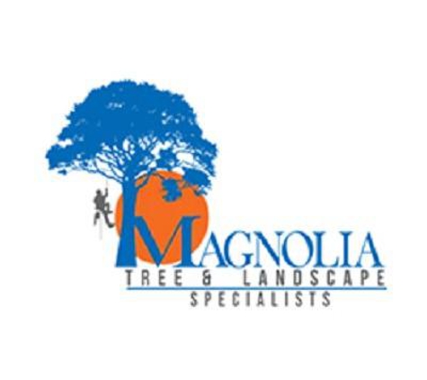 Magnolia Tree & Landscape Specialist