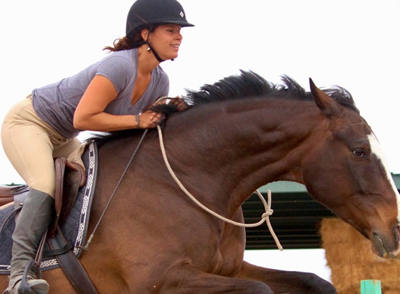 Desert Bloom Horse Training and Sales - San Tan Valley, AZ