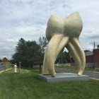 World's Largest Tooth