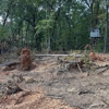 Tines & Timber Development and Land Management gallery