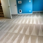 Bellevue LM Carpet Cleaning