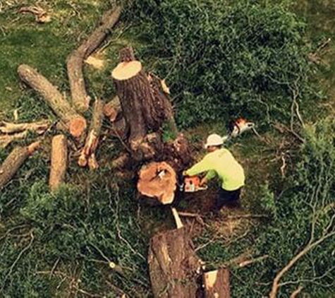 Lopez Tree Service - Naperville, IL