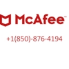 McAfee gallery