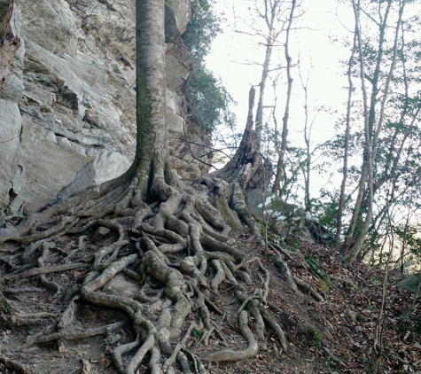 Raven Rock State Park - Lillington, NC