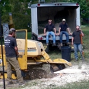 Stumps Of Time Removal Service - Tree Service