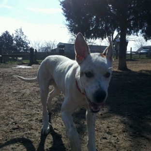 Dog Bark Park - Murfreesboro, TN