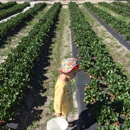 Rogers Farm - Farms