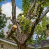 Moon Valley Nurseries gallery
