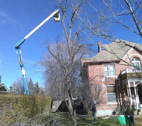 Mission Ready Tree Service - Penrose, CO. Tree service on Historic House in Florence Colorado