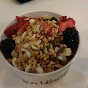 YogurtLand - Berkeley, CA