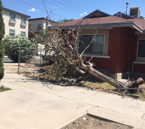 El Paso Tree Removal - El Paso, TX