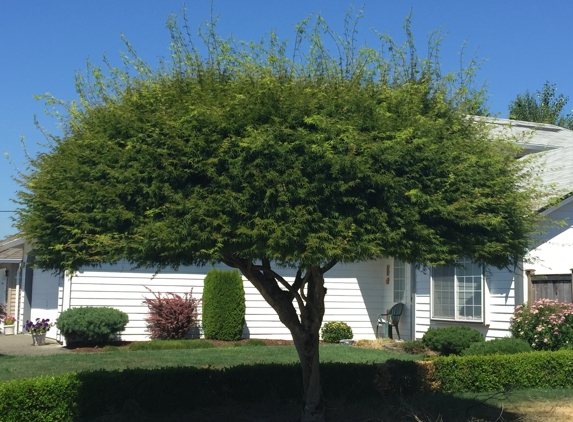 Pacific Tree Service - Kent, WA