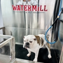 Watermill Auto & Pet Wash - Car Wash