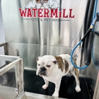 Watermill Auto & Pet Wash