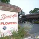 Spring Flowers - Florists