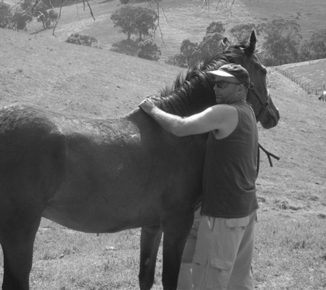 Back Into Action Osteopathic Group - Macleod, VIC
