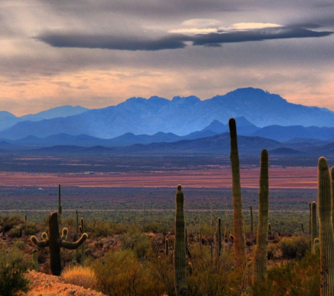 Jims Insect Management Service - Las Cruces, NM