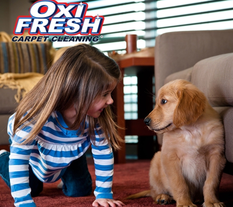 Oxi Fresh Carpet Cleaning