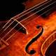 Ina Georgieva Violin & Viola Lessons