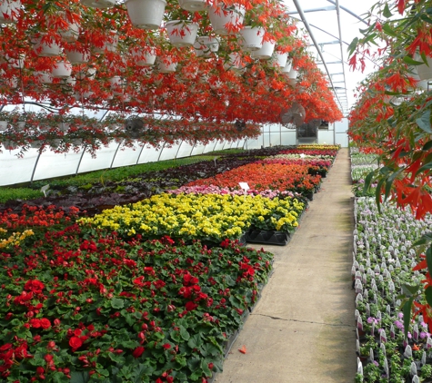 Woldhuis Farms Sunrise Greenhouse - Grant Park, IL