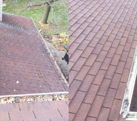 Pro Roof Cleaning