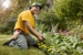 The Grounds Guys of Memorial Park - Gardeners