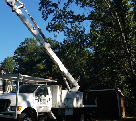 North Georgia Tree Service - Calhoun, GA. Scott hard at work. He did us right.