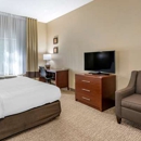 Comfort Inn & Suites St. Louis-O'Fallon - Motels