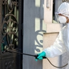 D & T Pest Control gallery