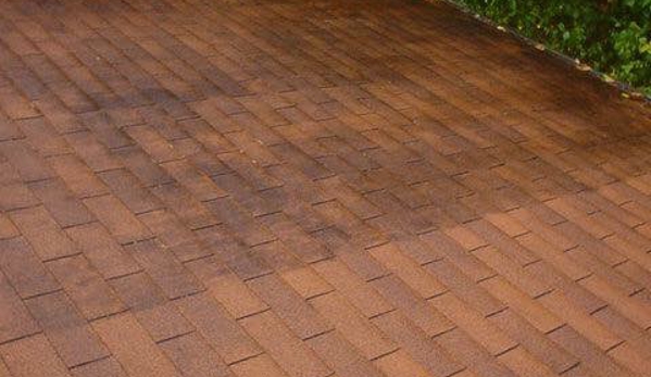 Wnc Roof Cleaning - Waynesville, NC