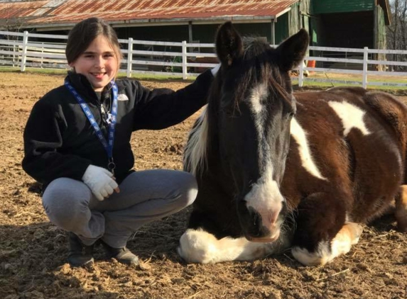 Trinity Stables - Lawrenceville, GA