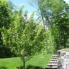 SavATree - Tree Service & Lawn Care gallery