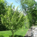 SavATree - Tree Service & Lawn Care - Arborists