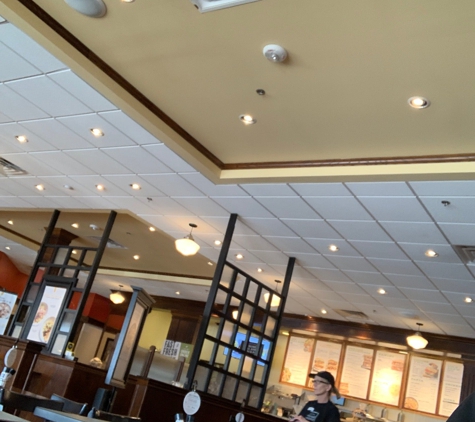 Corner Bakery Cafe - Houston, TX