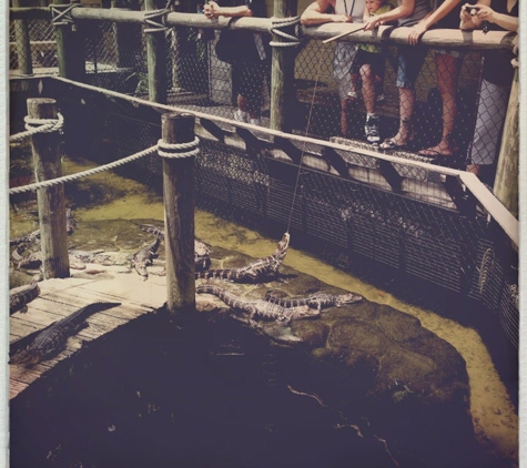 Congo River Golf - Clearwater, FL