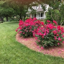 Natures Select Premium Turf - Sod & Sodding Service