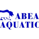 Pool Remodeling, Pool Repairs, Outdoor Kitchens - Abear Aquatics - Swimming Pool Construction