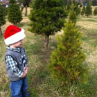 Jordan Lake Christmas Tree Farm
