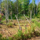 Harlem Valley Rail Trail Association